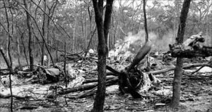 Sur cette photo d'archive du 19 septembre 1961, des chercheurs marchent parmi les débris éparpillés d'un avion DC6B dans une forêt près de Ndola, en Zambie. - Copyright © africanews AP/AP2011